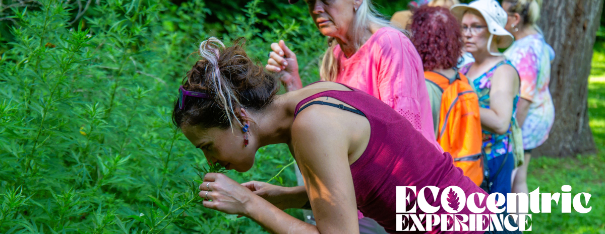 Foraging for Food and Medicine: An Immersive Exploration of Local Plants | September 15
